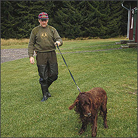 FASTY DOG LEAD / MOOSE and ELK PULLER (FS197) lashing strap