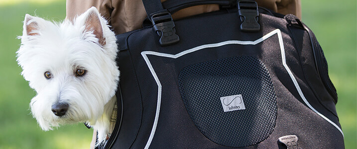 Small pet carriers